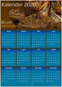 mach:idee JAHRESKALENDER 2020 01
